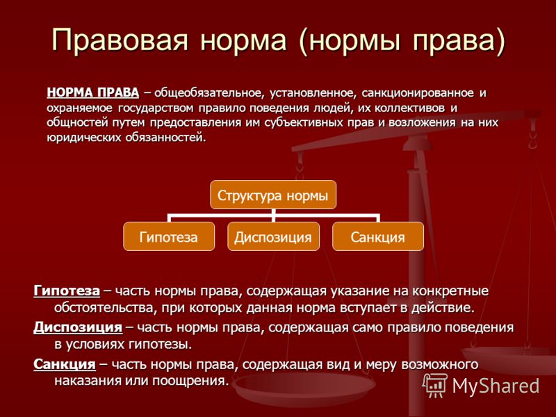 Правилам и социальным нормам 2. Элементы правовой нормы. Правовые нормы примеры. Правовые нормы поведения. Право и норма права.