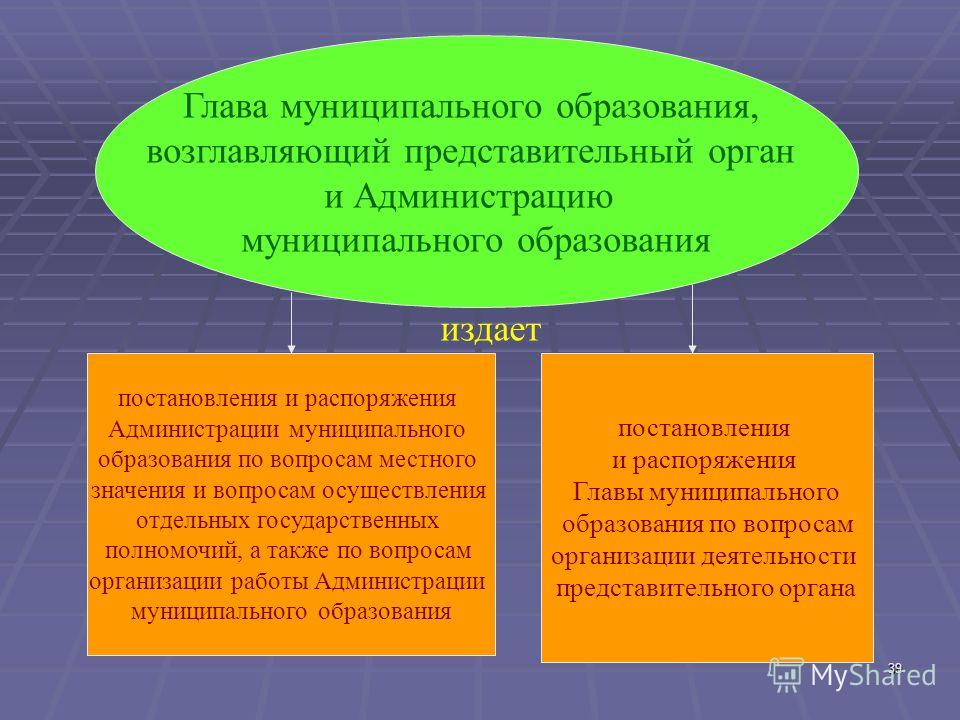 Какой орган является представительным органом. Представительный орган муниципального образования издает. Планирование деятельности представительного органа. Что издает глава муниципального образования. Что возглавляет глава муниципального образования.