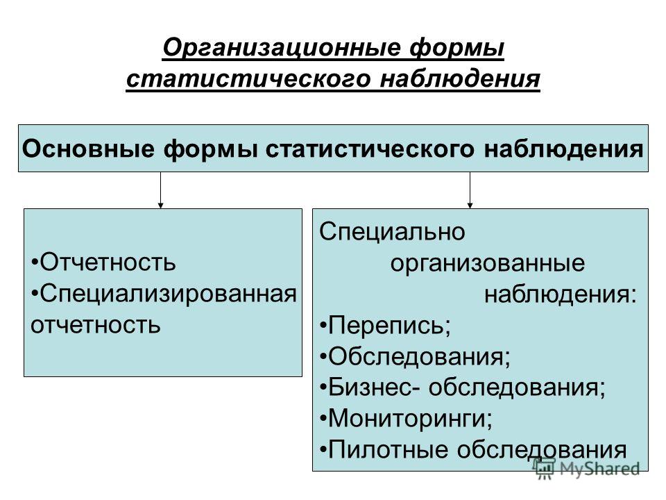 Субъект статистического наблюдения