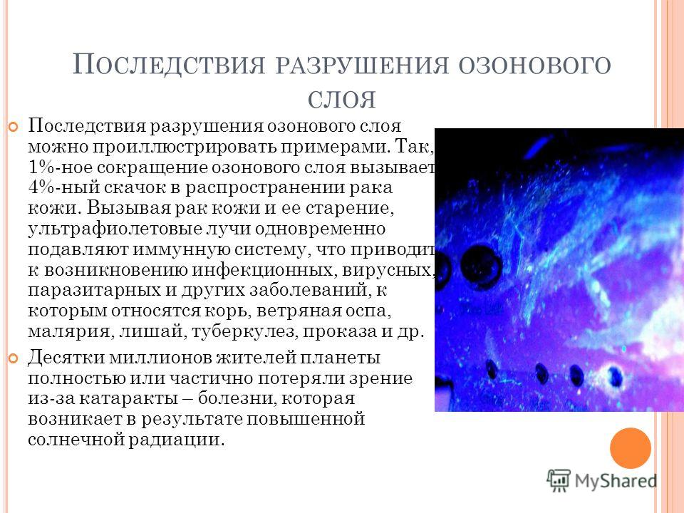 Кратко охарактеризуйте сущность проблемы озонового экрана и пути ее разрешения