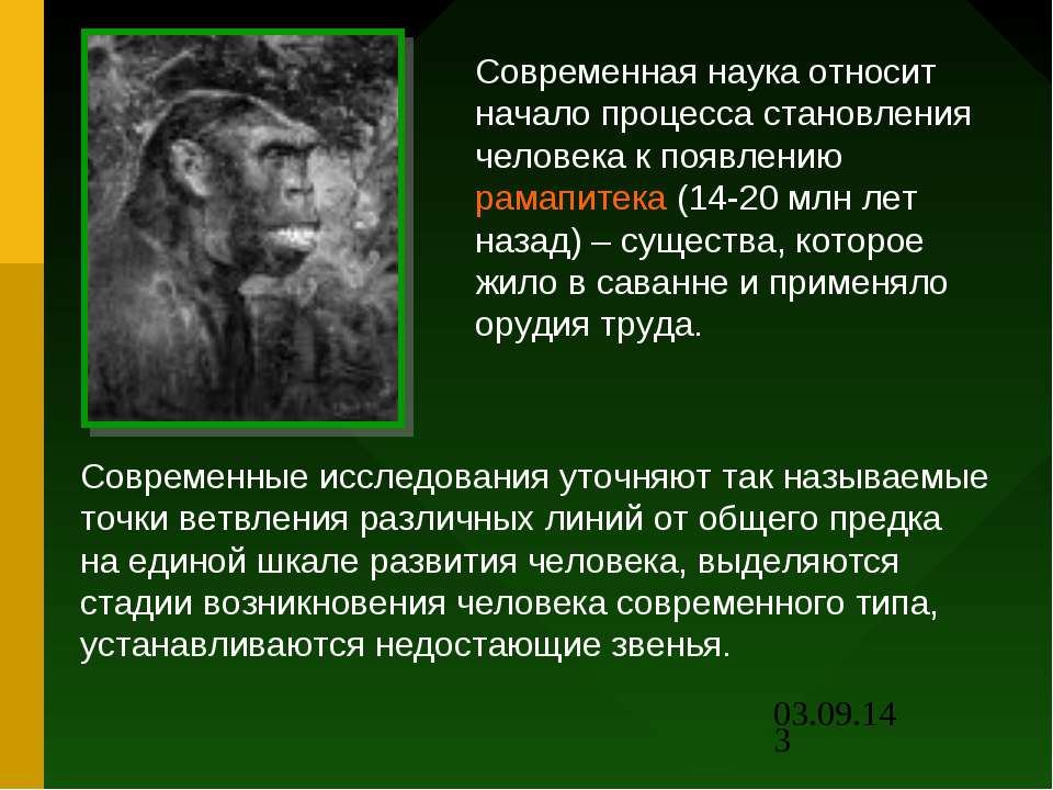 Составьте план сообщения о гипотезах происхождения эукариот