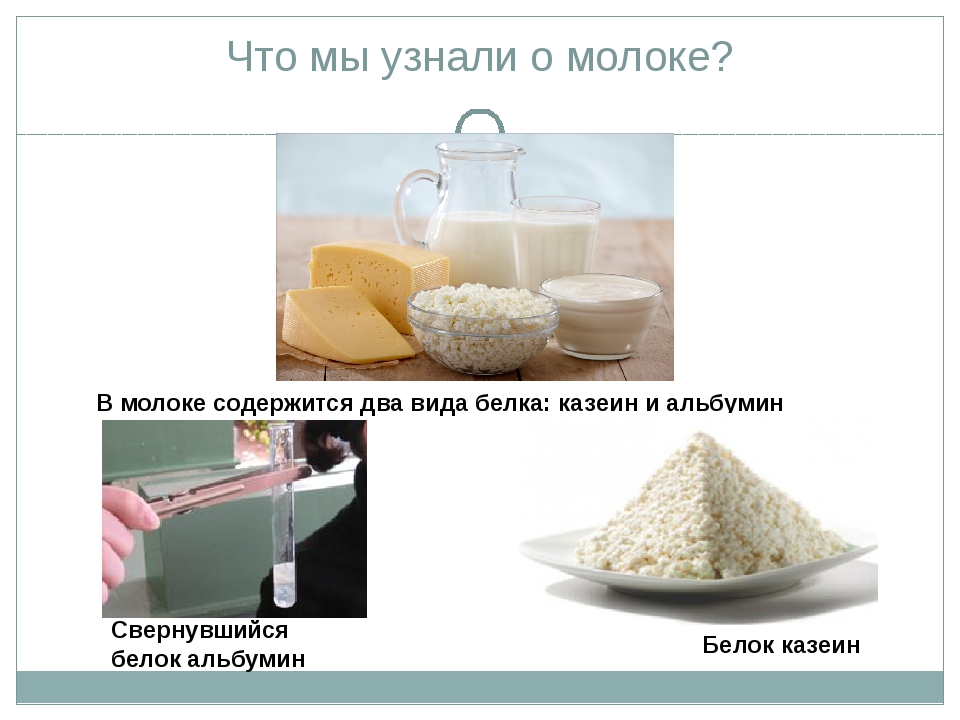 Казеин молока. Казеин в молочных продуктах таблица на 100 гр. Продукты с казеином. Белок казеин в молоке. Казеин в кисломолочных продуктах.