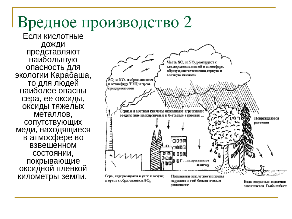 Проект на тему влияние кислотных дождей на окружающую среду