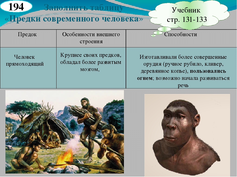 Этапы эволюции человека тест 9 класс. Предки современного человека. Предки человека таблица. Древние предки человека. Происхождение человека на земле.