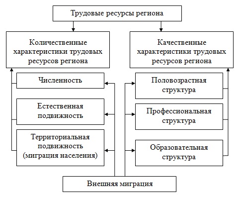 Описание трудовых функций входящих в псп включает характеристику