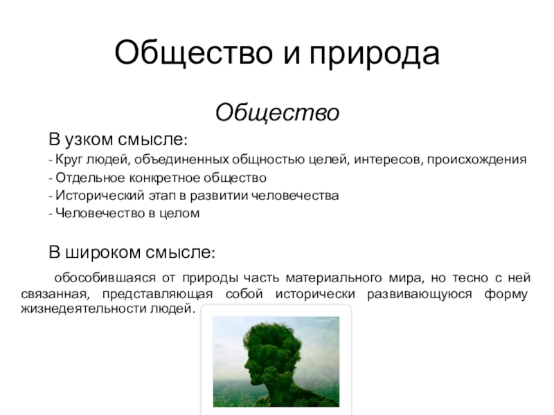 Природа в узком смысле. Общество в узком смысле примеры. Общество в узком смысле круг людей. Круг людей Объединенных общностью цели интересов происхождения. Сущность общества в узком смысле.