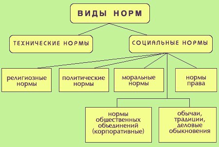 На фотографии изображены люди как вы думаете какой вид социальных норм могут иллюстрировать