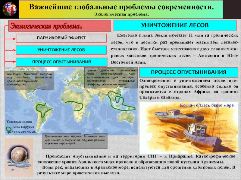 Экологические проблемы современности план по обществознанию