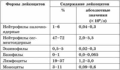 Лейкоциты кровь – Лейкоциты: норма в крови у мужчин, женщин, детей. Особенности сдачи анализа на лейкоциты, расшифровка
