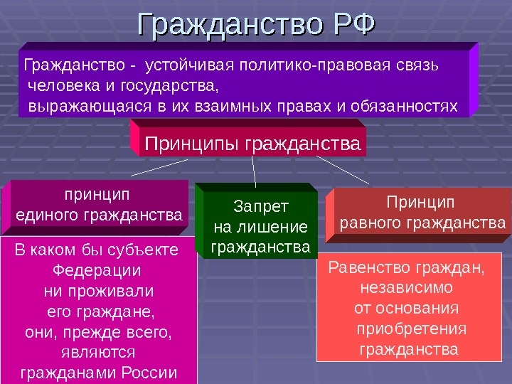 Принципы гражданства – Понятие гражданства, принципы гражданства РФ. Конституционное право Российской Федерации