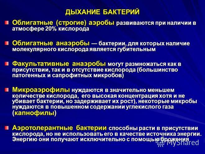 Бактерии по типу дыхания – Классификация бактерий по типам дыхания: