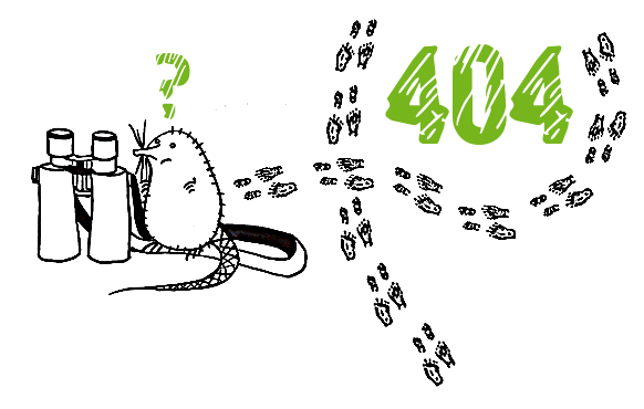 Зверьки лесные – 404 Страница не найдена