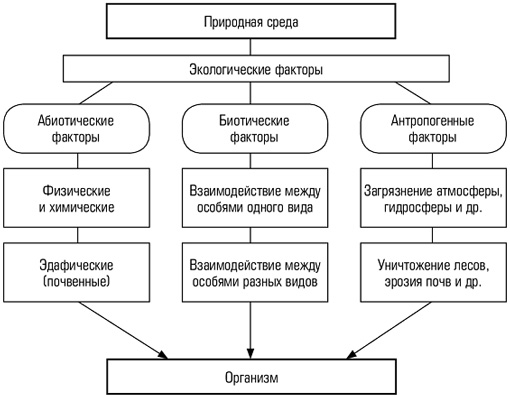 Какие группы экологических факторов вам известны – Экологический фактор — это… Экология и человек. Виды экологических факторов. Классификация экологических факторов