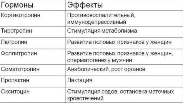 Какую функцию в организме человека выполняют гормоны – Функции гормонов и роль в регуляции деятельности организма человека