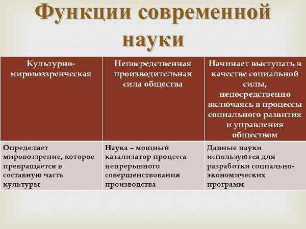 В современном обществознании принято выделять нуклеарные и расширенные семьи составьте план текста