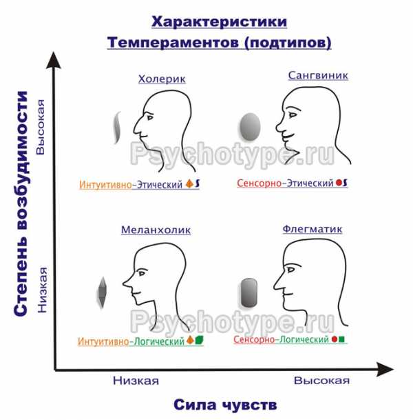 Картинка меланхолик сангвиник флегматик