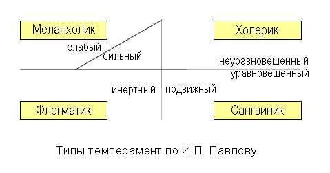 Картинка меланхолик сангвиник флегматик