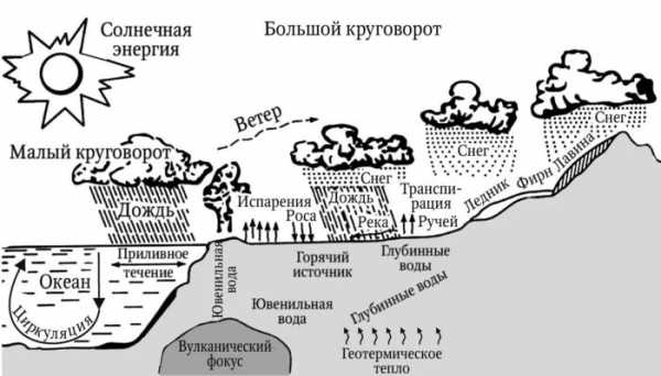 Нарисуйте по памяти схему мирового круговорота воды