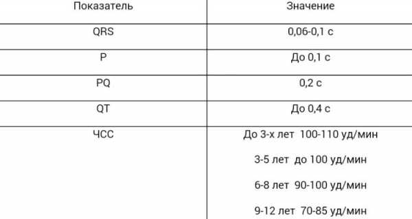 Фото экг в норме взрослого человека