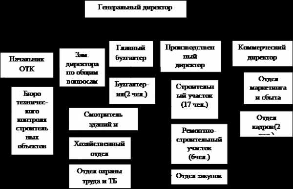 Пример организационной структуры предприятия ооо схема с описанием