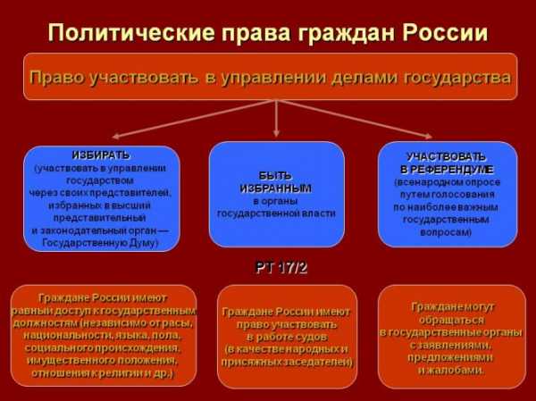 Проект права человека и гражданина