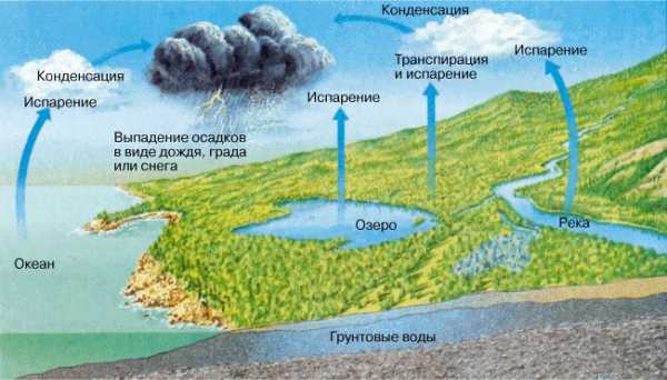 Расскажите о круговороте воды в природе составьте логическую схему круговорота воды кратко