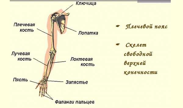 Некроз верхних конечностей фото